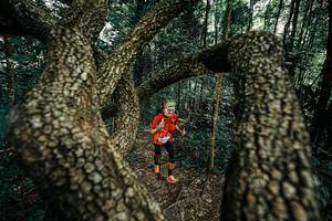 BIB: 
                            <button type="button" onclick="openModal(25392819)" class="btn btn-primary btn-sm float-right btn-popup" data-toggle="modal" data-target=".modal-high-quality">
                        <i class="fas fa-shopping-cart"></i> Add to Cart
                    </button>
                                            <button type="button" onclick="isThisMe(25392819, true)" class="btn btn-success btn-sm float-right btn-popup btn-isme hidden" data-toggle="tooltip" data-placement="bottom" title="นี่คือรูปของคุณใช่ไหม คลิกที่นี่เพื่อเอาเข้าอัลบั้ม">
                        <i class="fas fa-plus"></i> Add to album
                    </button>
                    <button type="button" onclick="isThisMe(25392819, false)" class="btn btn-warning btn-sm float-right btn-popup btn-isnotme hidden">
                        <i class="fas fa-ban"></i> Remove from album
                    </button>